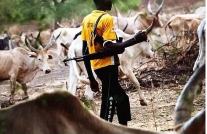 Border Raid Kills 41 Dozens of Herders in Nigeria–Benin Operation, Raising Fears of Escalation