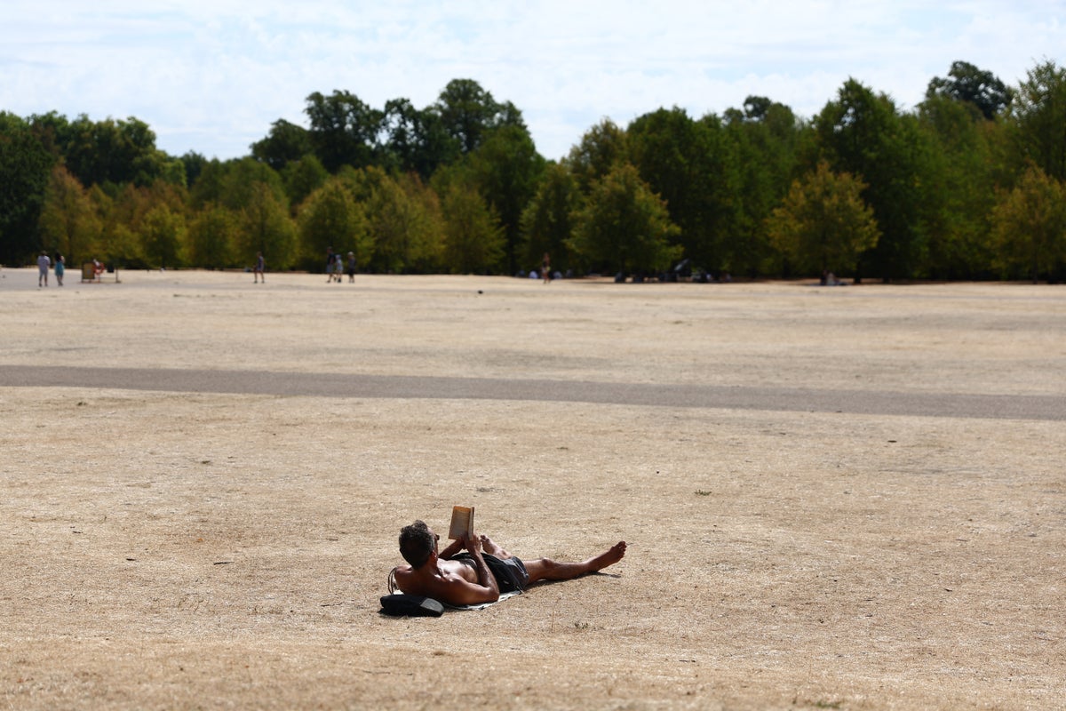 UK braces for 36C heatwave as Met Office considers rare extreme heat warnings